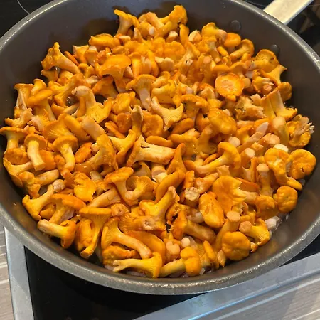 Vendégház U Zemanu 3*