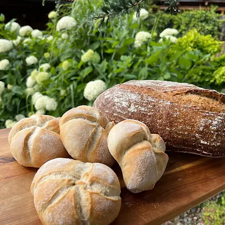 U Zemanu Vendégház Nové Hrady