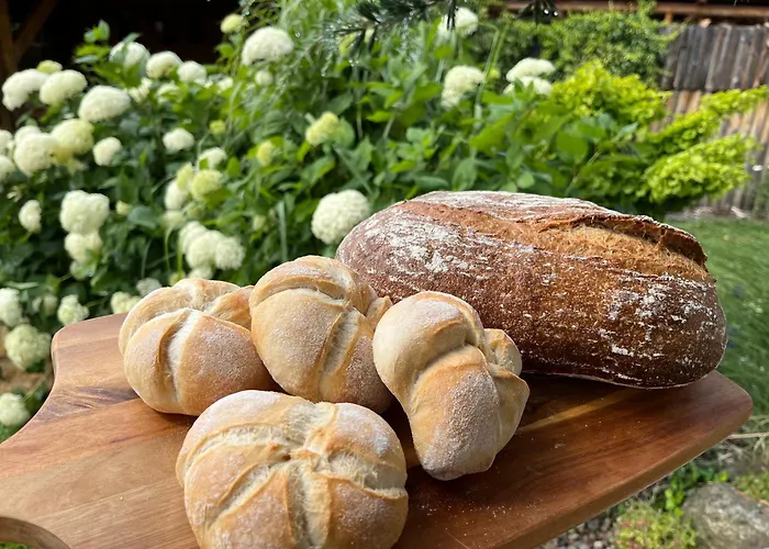 U Zemanu Gasthuis Nové Hrady